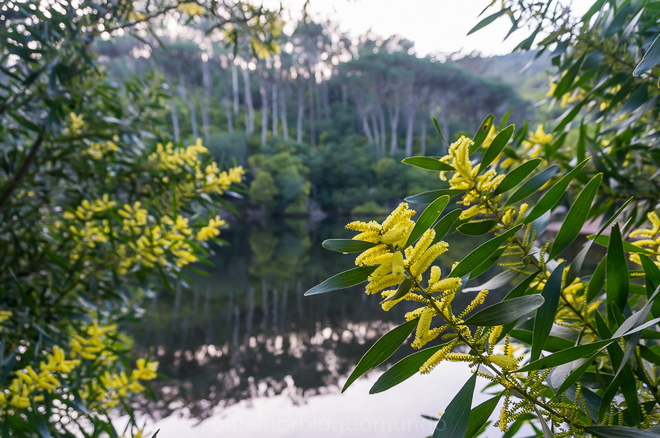 DSC07451.jpg DSC07451.jpg