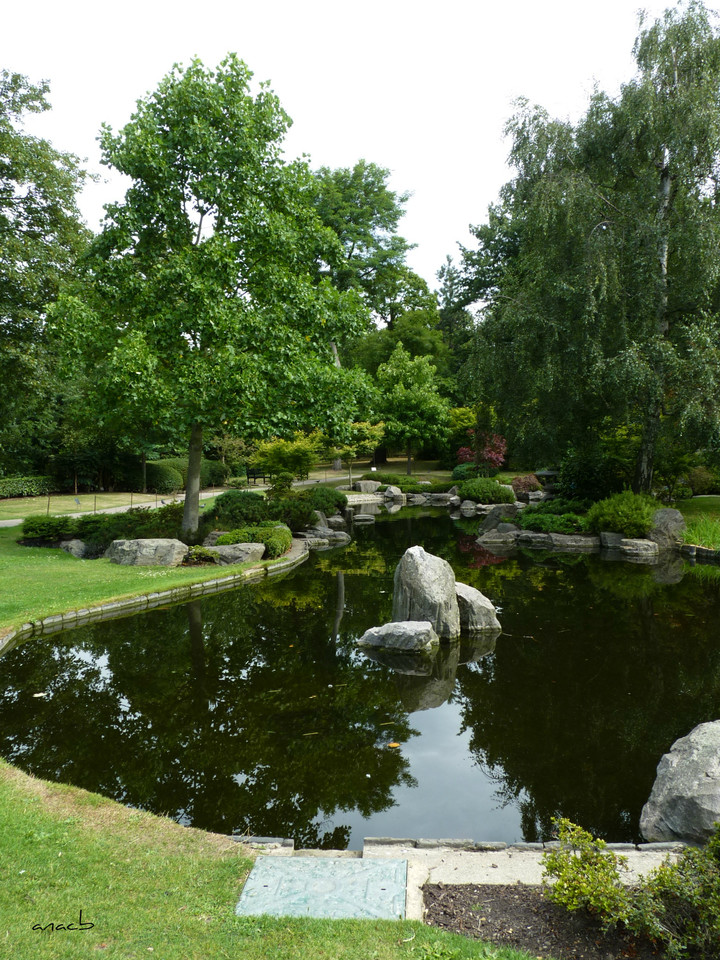 ao acaso #19 Kyoto Garden, Holland Park, Londres.J