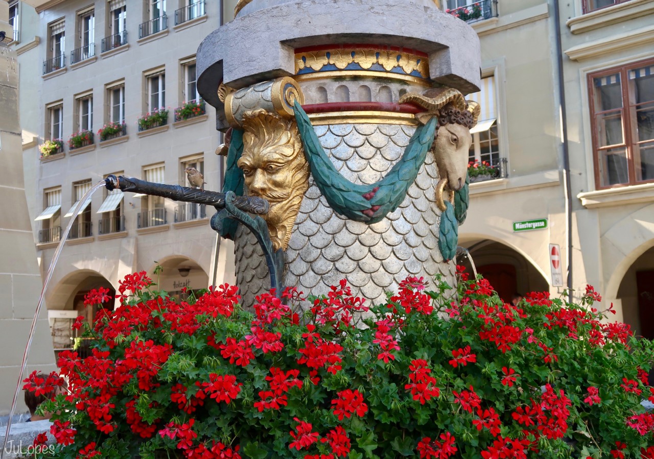 IMG_8790.jpg IMG_8790.jpg