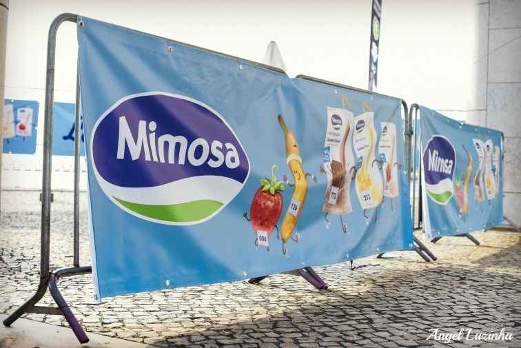 Angel Luzinha Fotografia-1619_BLOG.jpg