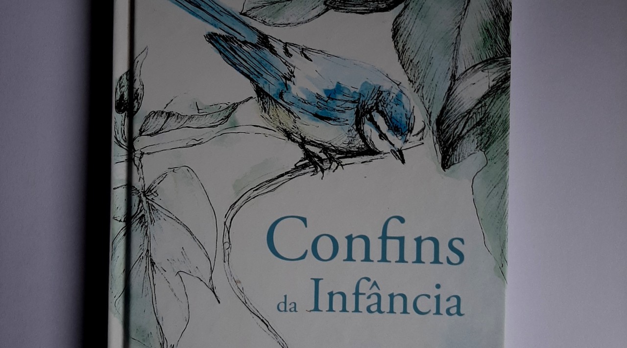 20210205_151312 - Cópia.jpg 20210205_151312 - Cópia.jpg