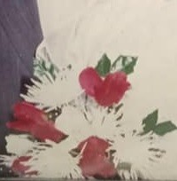 Felicidades! Felicidades!