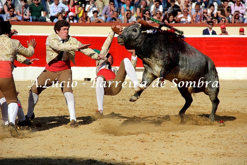 IMG_6252.JPG IMG_6252.JPG