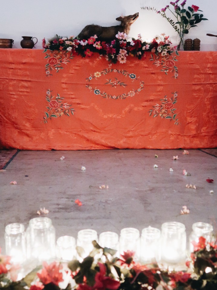 F40FF827-9B49-49C2-A2F0-250B94FBBC7B.jpg F40FF827-9B49-49C2-A2F0-250B94FBBC7B.jpg