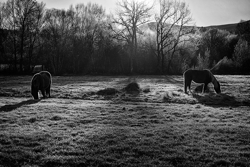 DSCF1962 - Cópia.jpg DSCF1962 - Cópia.jpg