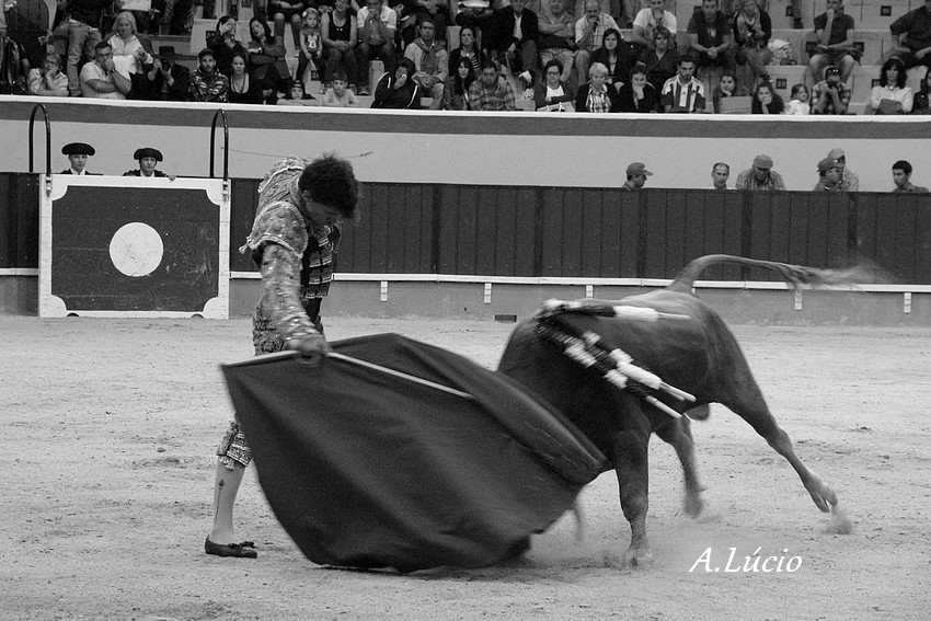 2 C Dominguez_0018.JPG