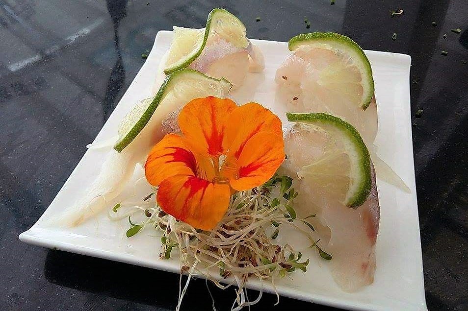 13511461_10208187717344621_1473260069_n.jpg 13511461_10208187717344621_1473260069_n.jpg