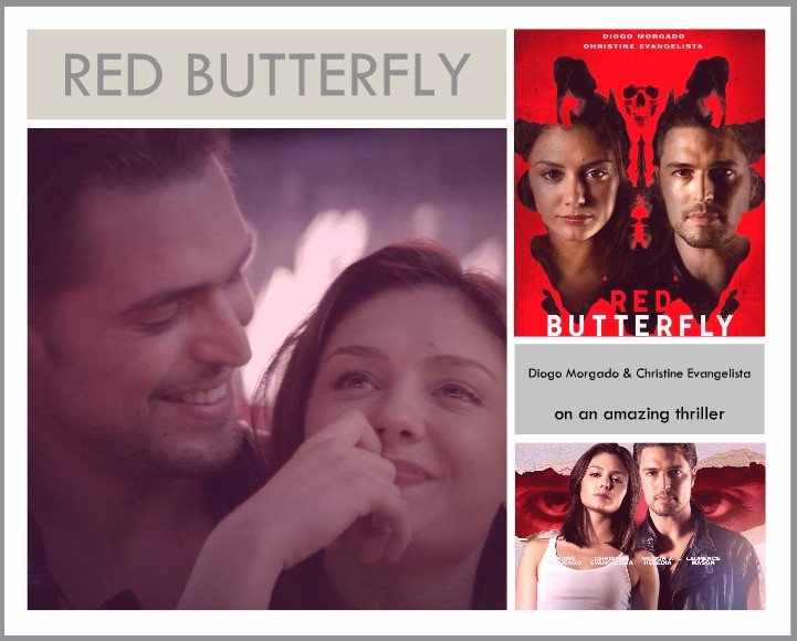 Red Butterfly.jpg