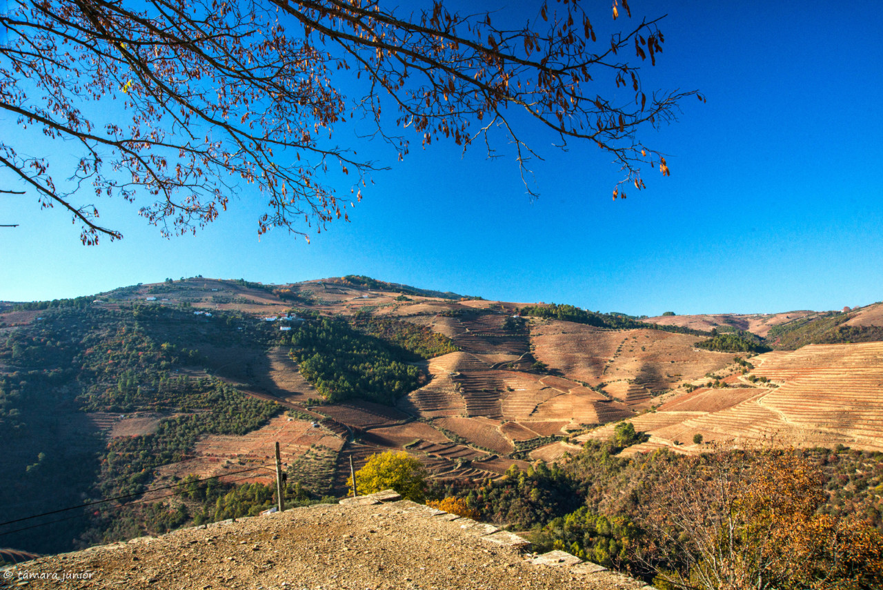 2017.- Pelo Douro no outono II (490).jpg 2017.- Pelo Douro no outono II (490).jpg