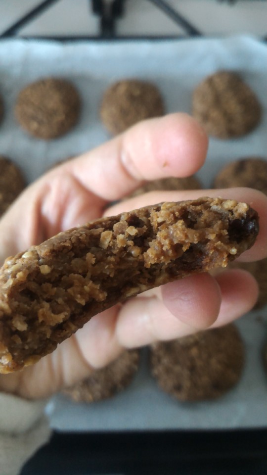 P_20180413_140815.jpg P_20180413_140815.jpg