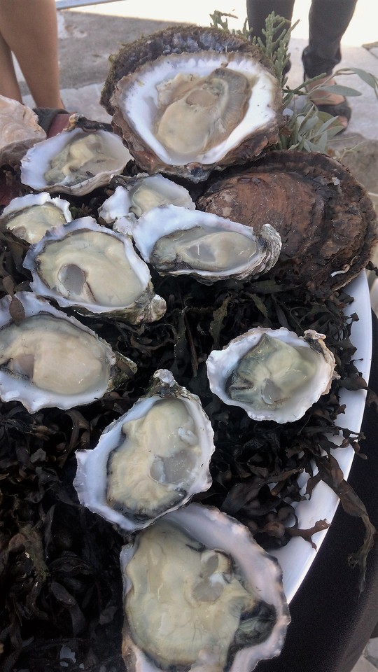 IMG_20160711_173937 (3).jpg