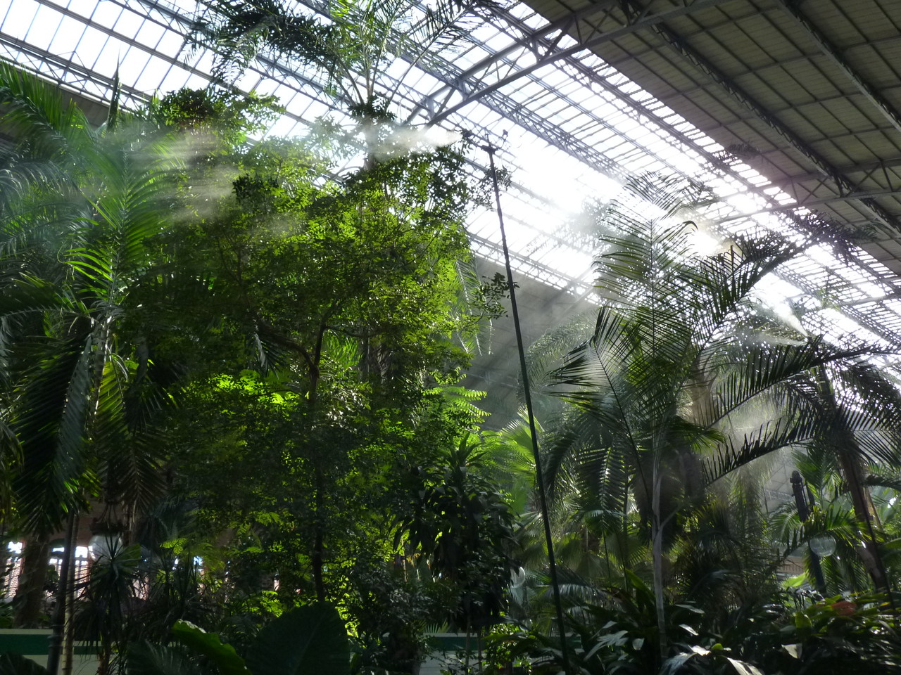 Romântica Madrid-Atocha (4).JPG