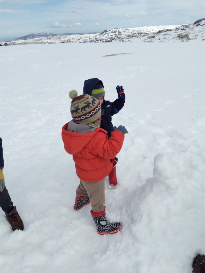 IMG_20180401_143408.jpg IMG_20180401_143408.jpg