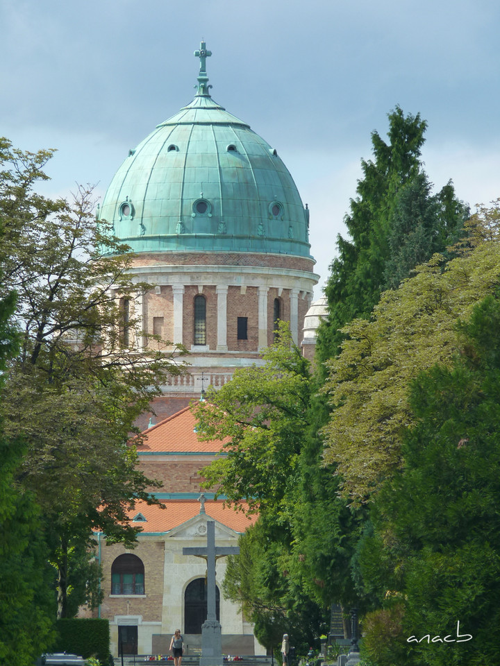 P1370949 cópia assin.jpg