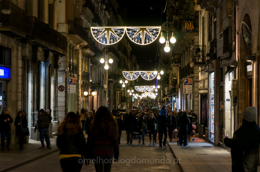 DSC03973.jpg DSC03973.jpg