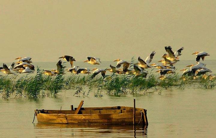 32742790_1705386582882567_8094457423747612672_n.jp