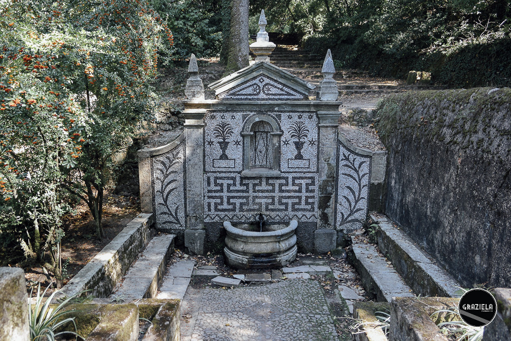 Luso_Bussaco-4032.jpg Luso_Bussaco-4032.jpg