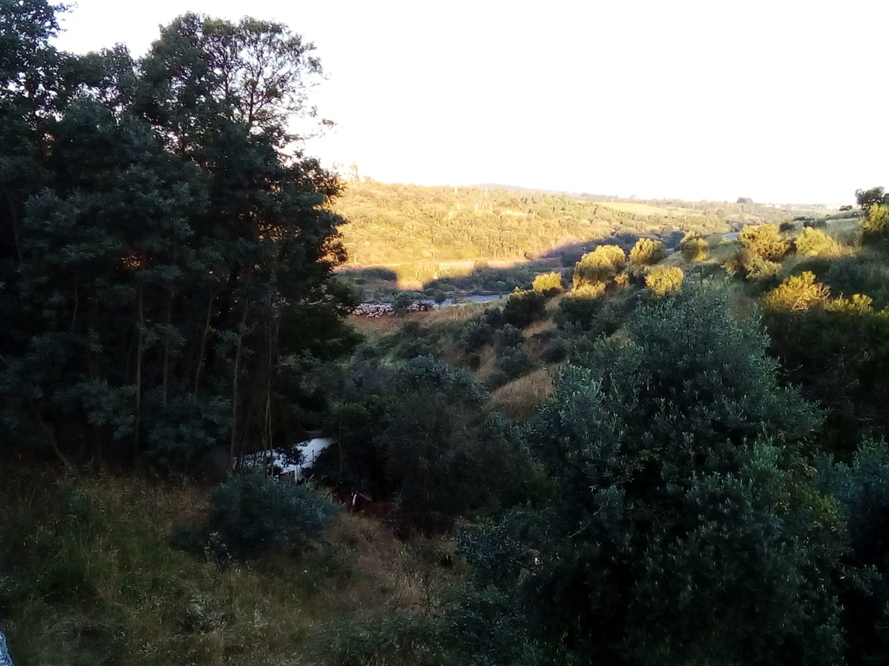 IMG_20180627_063346.jpg IMG_20180627_063346.jpg