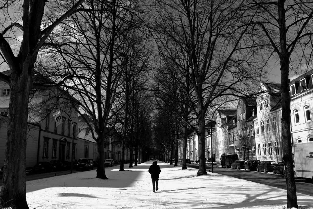 28829591_10211208692637451_110184754_n.jpg 28829591_10211208692637451_110184754_n.jpg