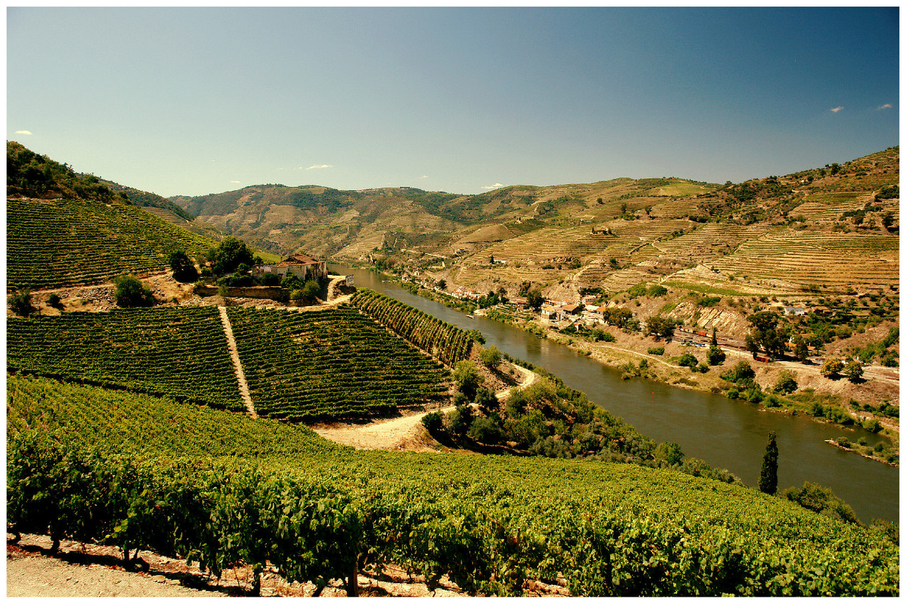 Quinta dos Aciprestes