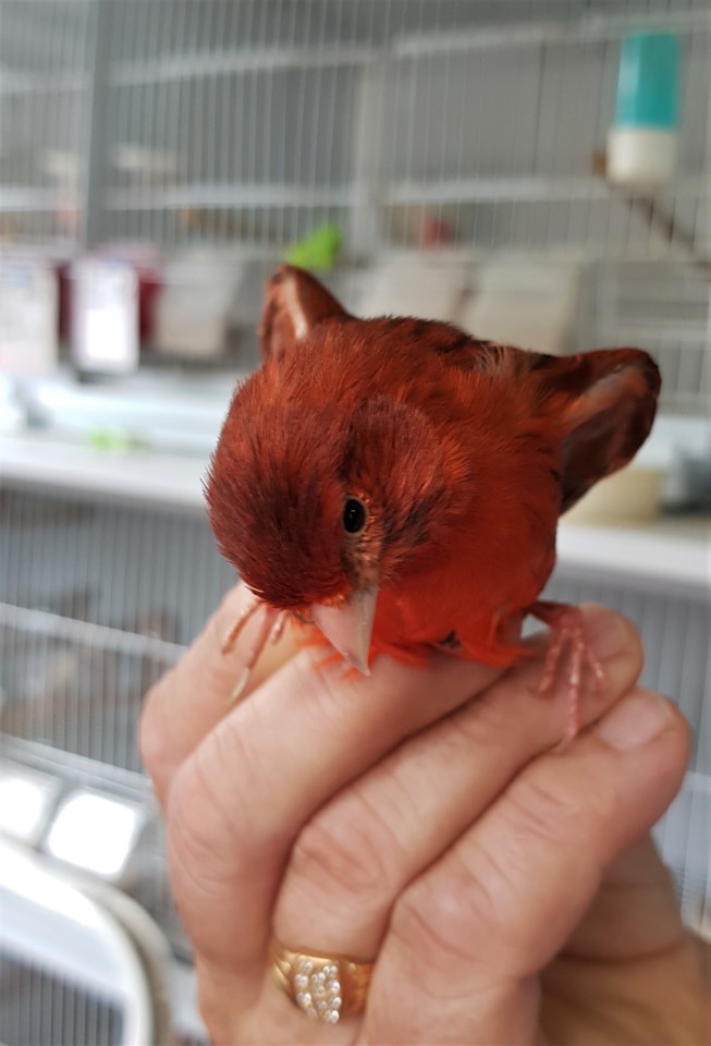 20200515_120200.jpg 20200515_120200.jpg