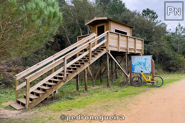 Jan_2025_001 650px.jpg