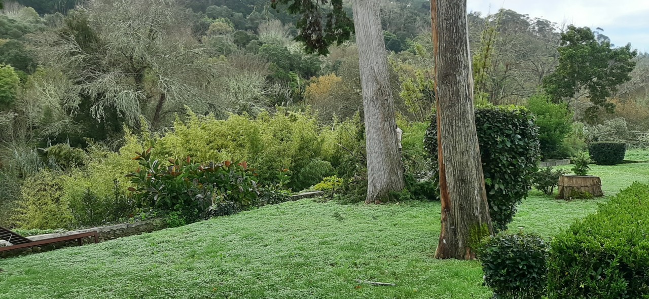 20191223_093230.jpg 20191223_093230.jpg