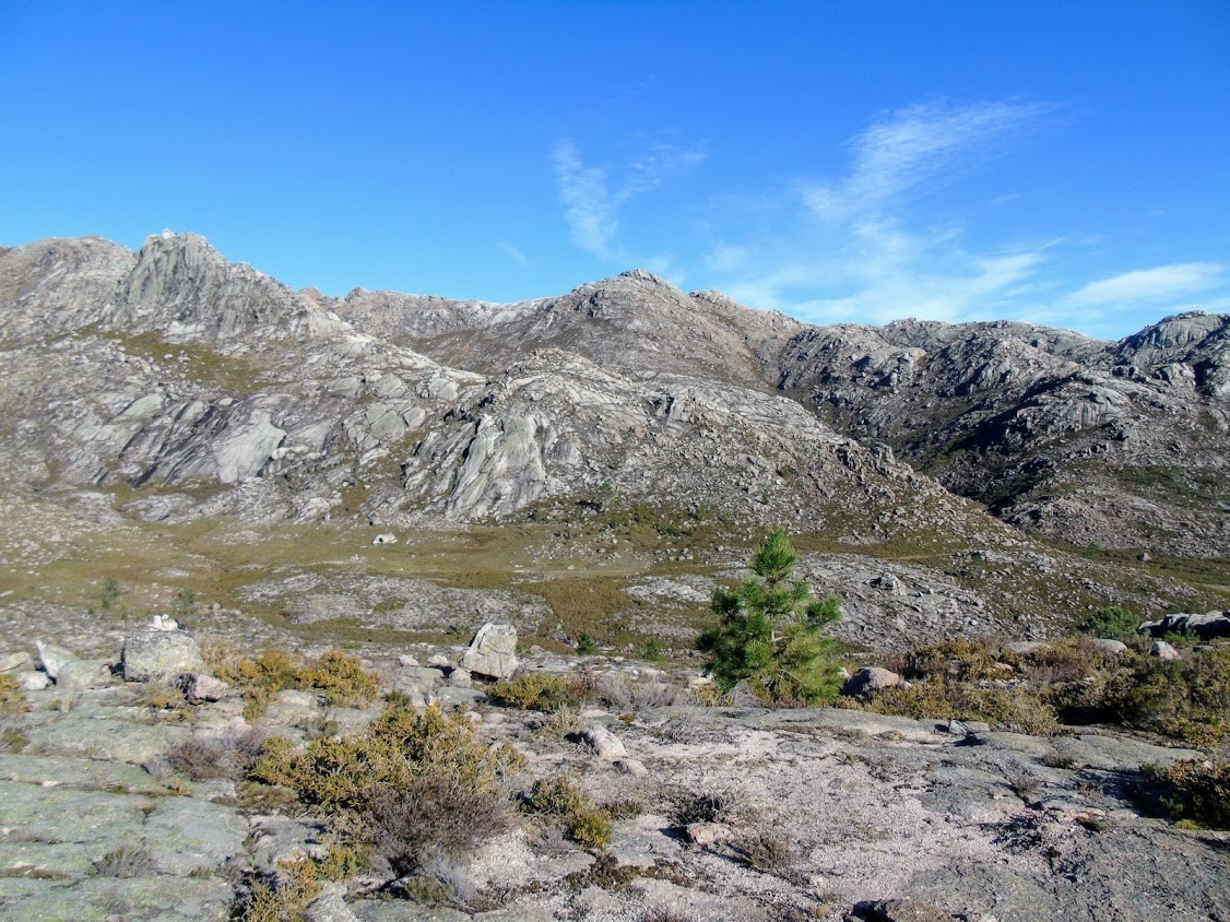 58E38C90-AC3F-4B76-9F19-36BA7C1844A0.jpeg 58E38C90-AC3F-4B76-9F19-36BA7C1844A0.jpeg