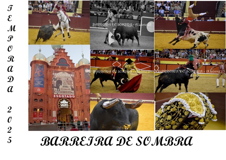 ANÁLISE FOTO GRANDE.jpg