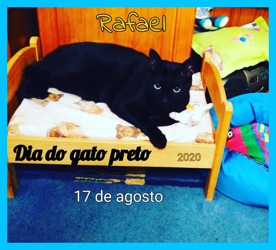 Kid-E-Cats, O Dia do Gato Preto