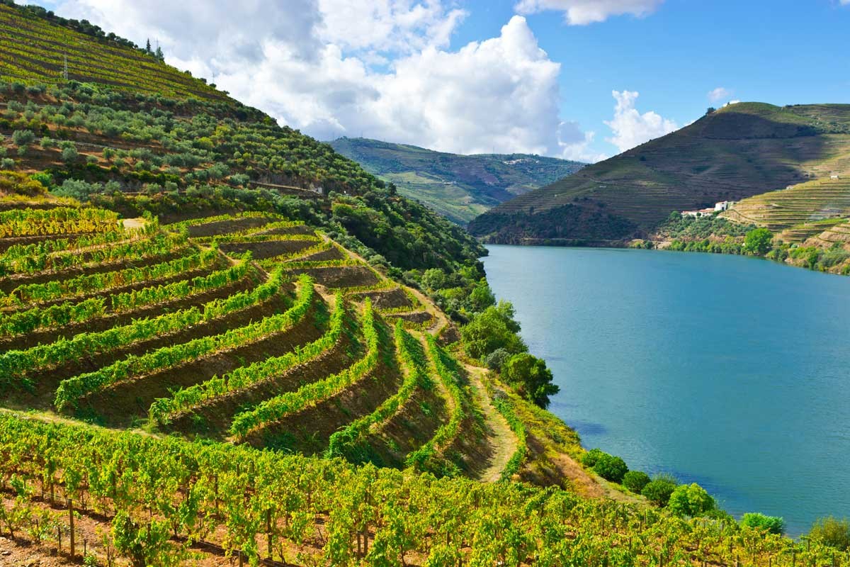 douro980.jpg