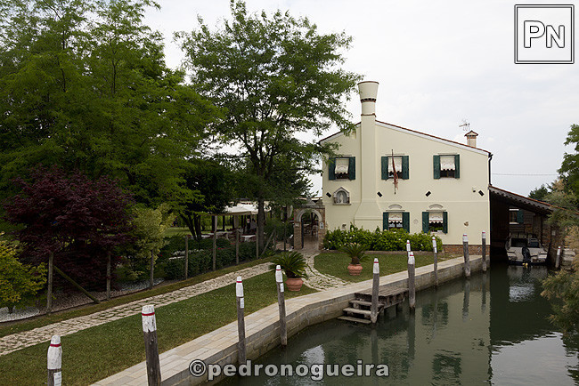 _MG_1127 650px.jpg _MG_1127 650px.jpg