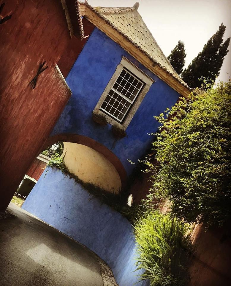 18582280_10211399632699860_1999104355875934702_n.j