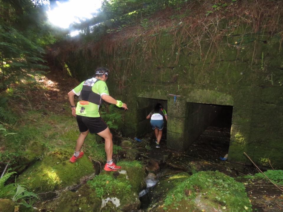 13501832_1234053103279097_6081351612535962244_n.jp