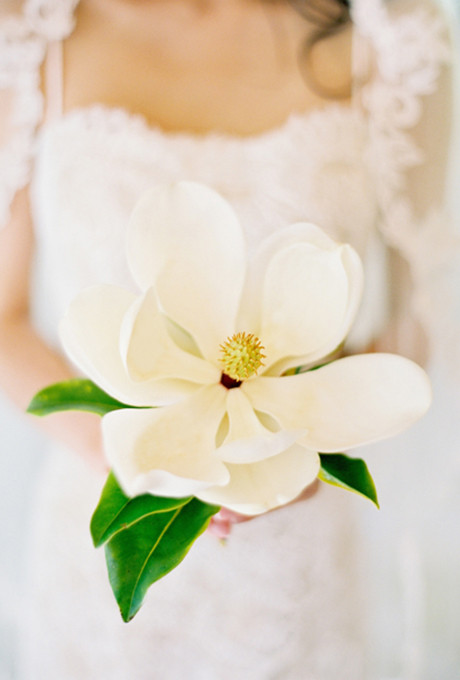 wedding-flower-meanings-magnolia.jpg wedding-flower-meanings-magnolia.jpg