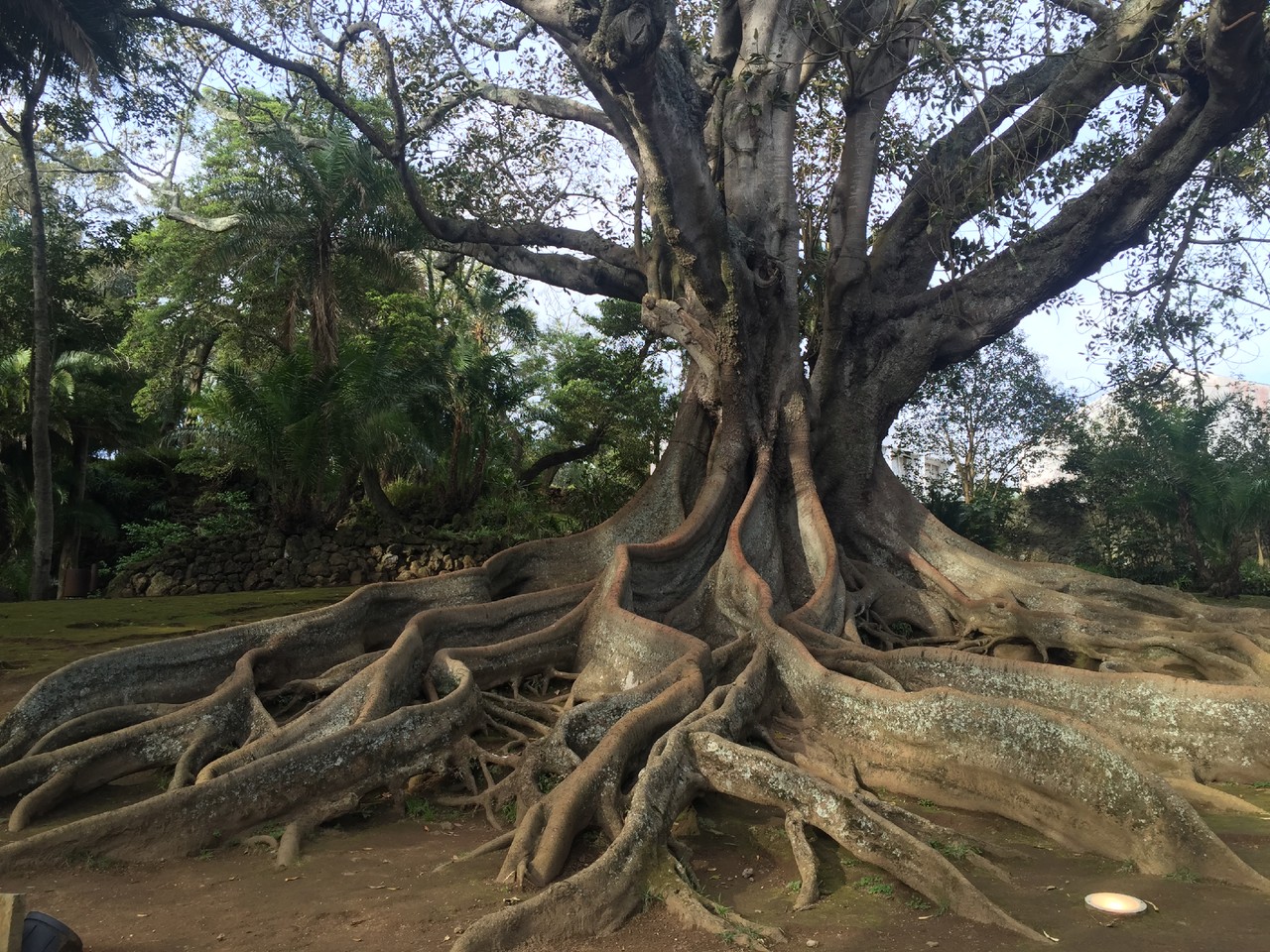 IMG_4009.JPG IMG_4009.JPG