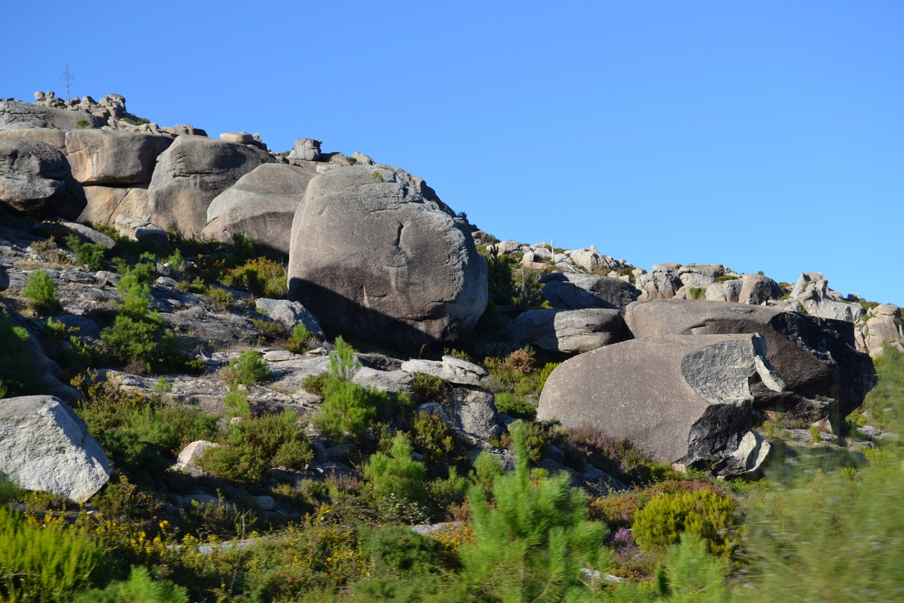 DSC_0876.JPG DSC_0876.JPG