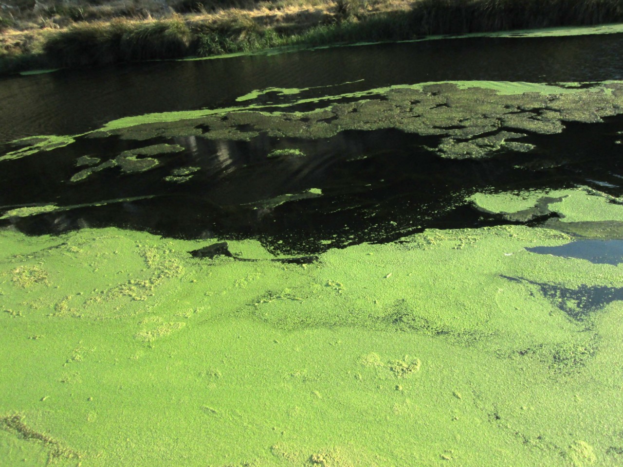 IMG_6702.JPG IMG_6702.JPG