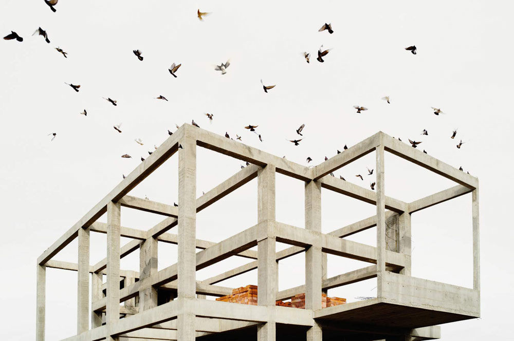 z_work in progress.jpg