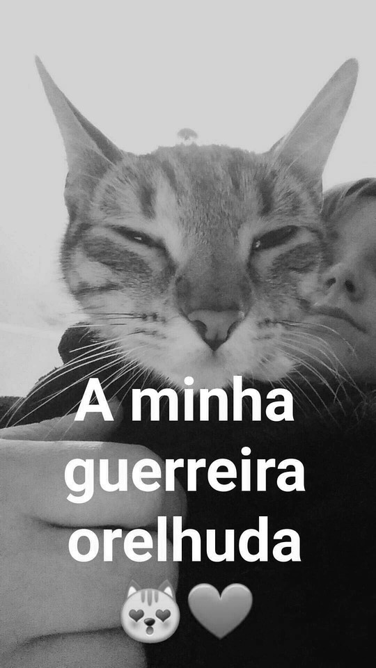 2016-02-15 18.17.06.jpg