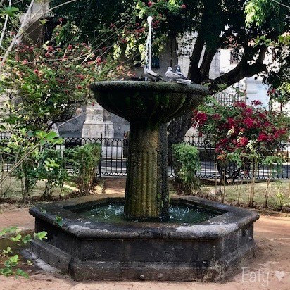 IMG_2835 2.jpg IMG_2835 2.jpg