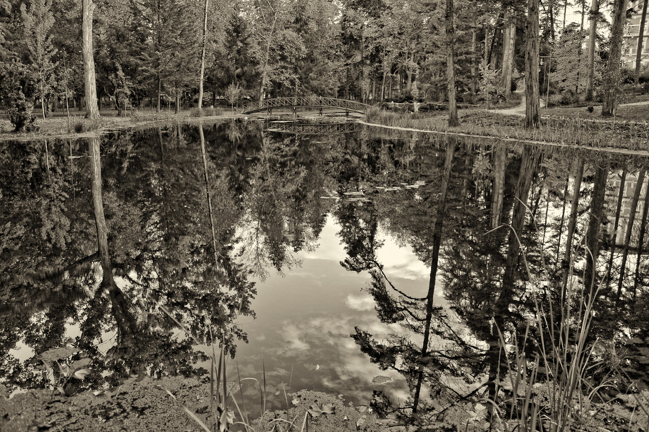 _JMD9134 - Cópia (2).JPG