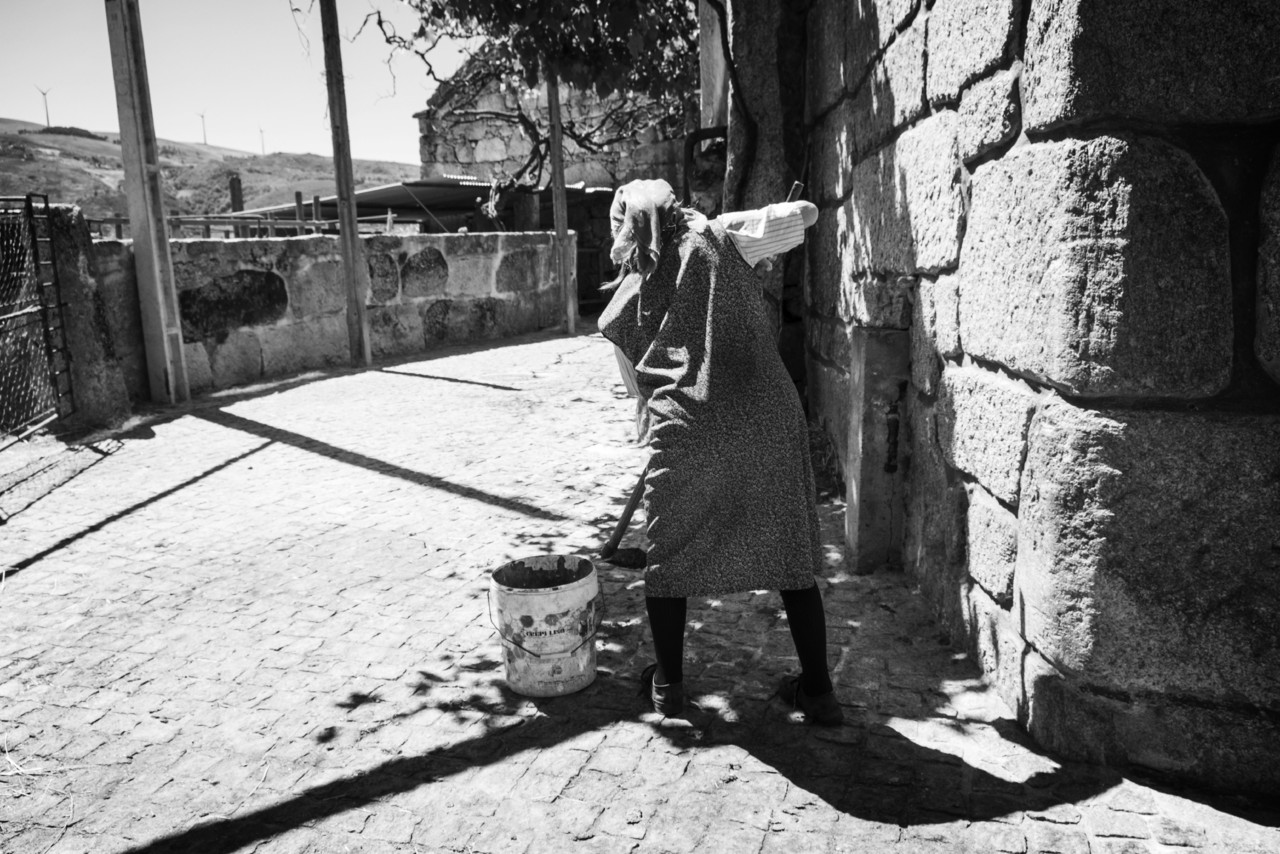 DSCF7167 - cópia copy - cópia.jpg