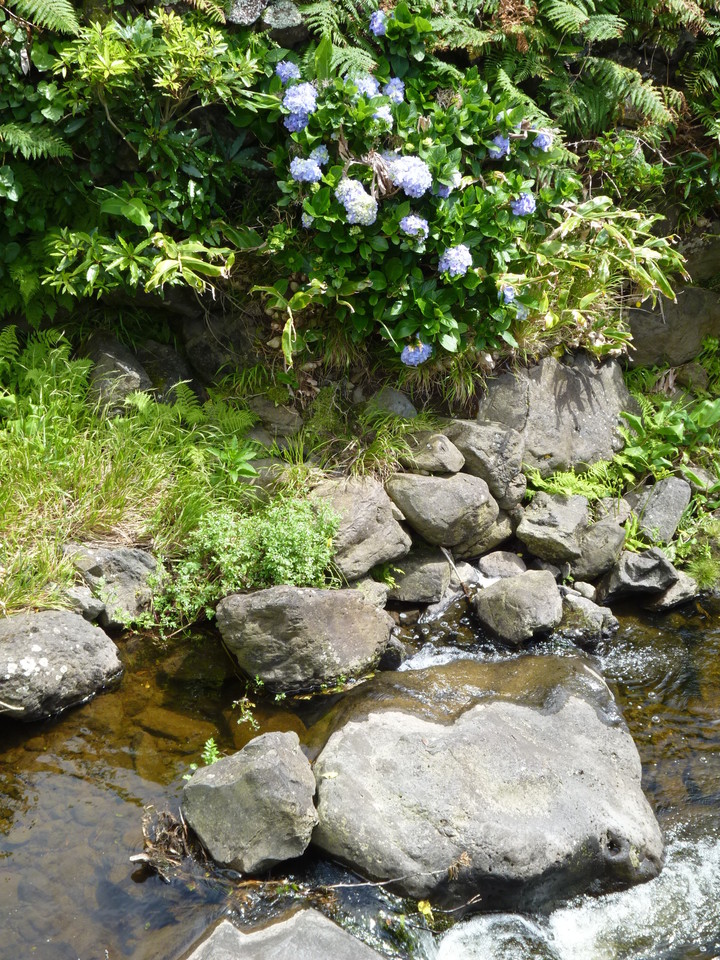 Fajã Gande - Poço do Bacalhau 10.JPG