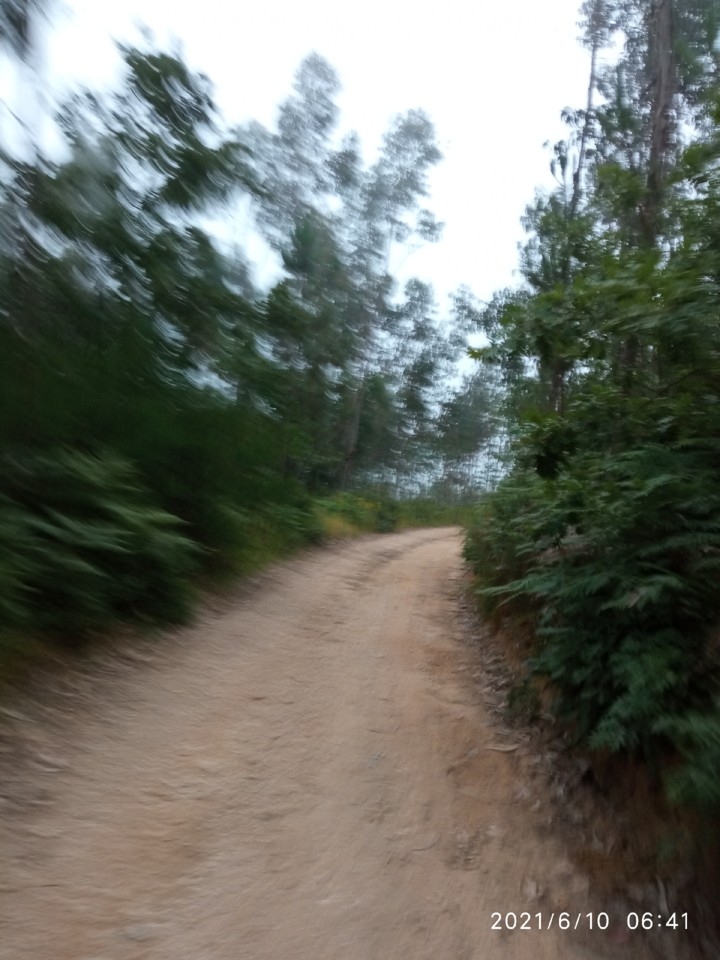 IMG_20210610_064156.jpg IMG_20210610_064156.jpg