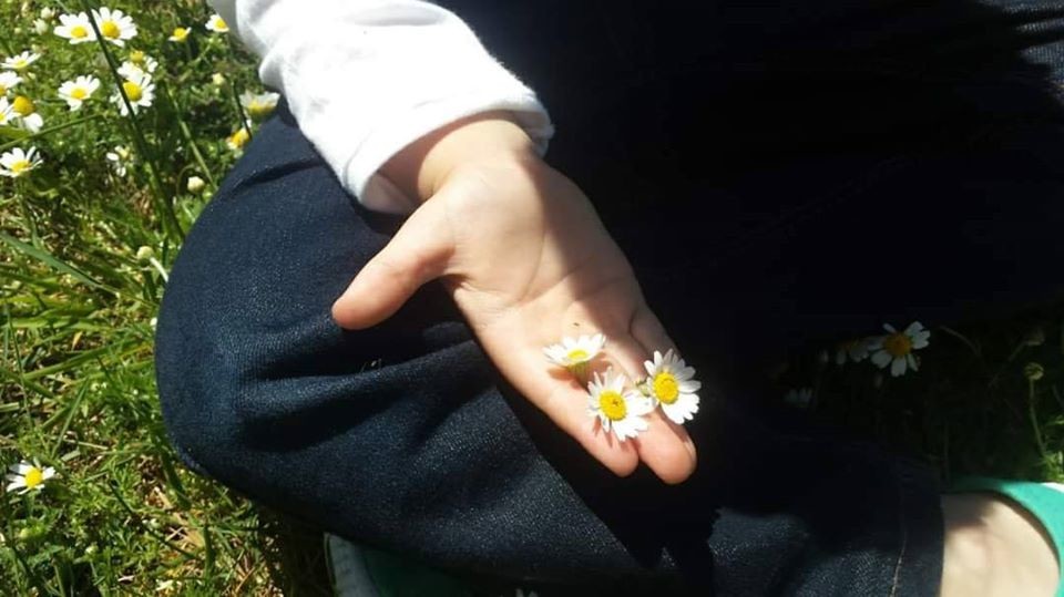 90066283_900958530348463_8113148563074056192_o.jpg 90066283_900958530348463_8113148563074056192_o.jpg