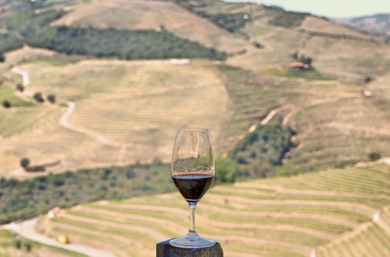 Noval Monocastas 2017