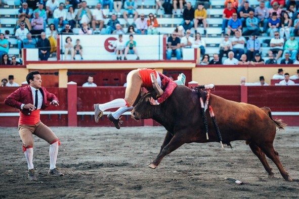 11-Pega de Francisco Maria Borges do Grupo de Forc