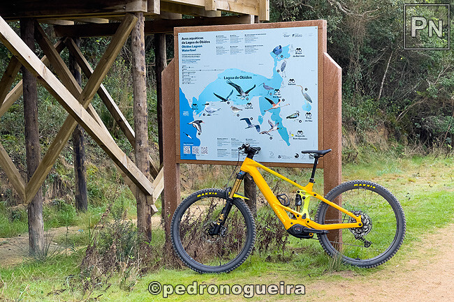 Jan_2025_002 650px.jpg