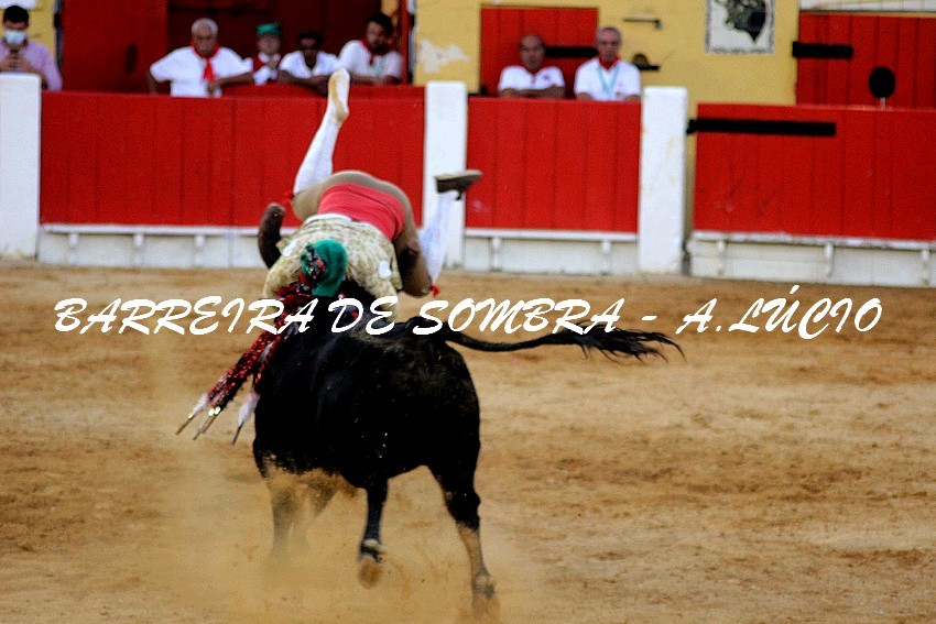 Amad Alcochete Vitor Marques.JPG